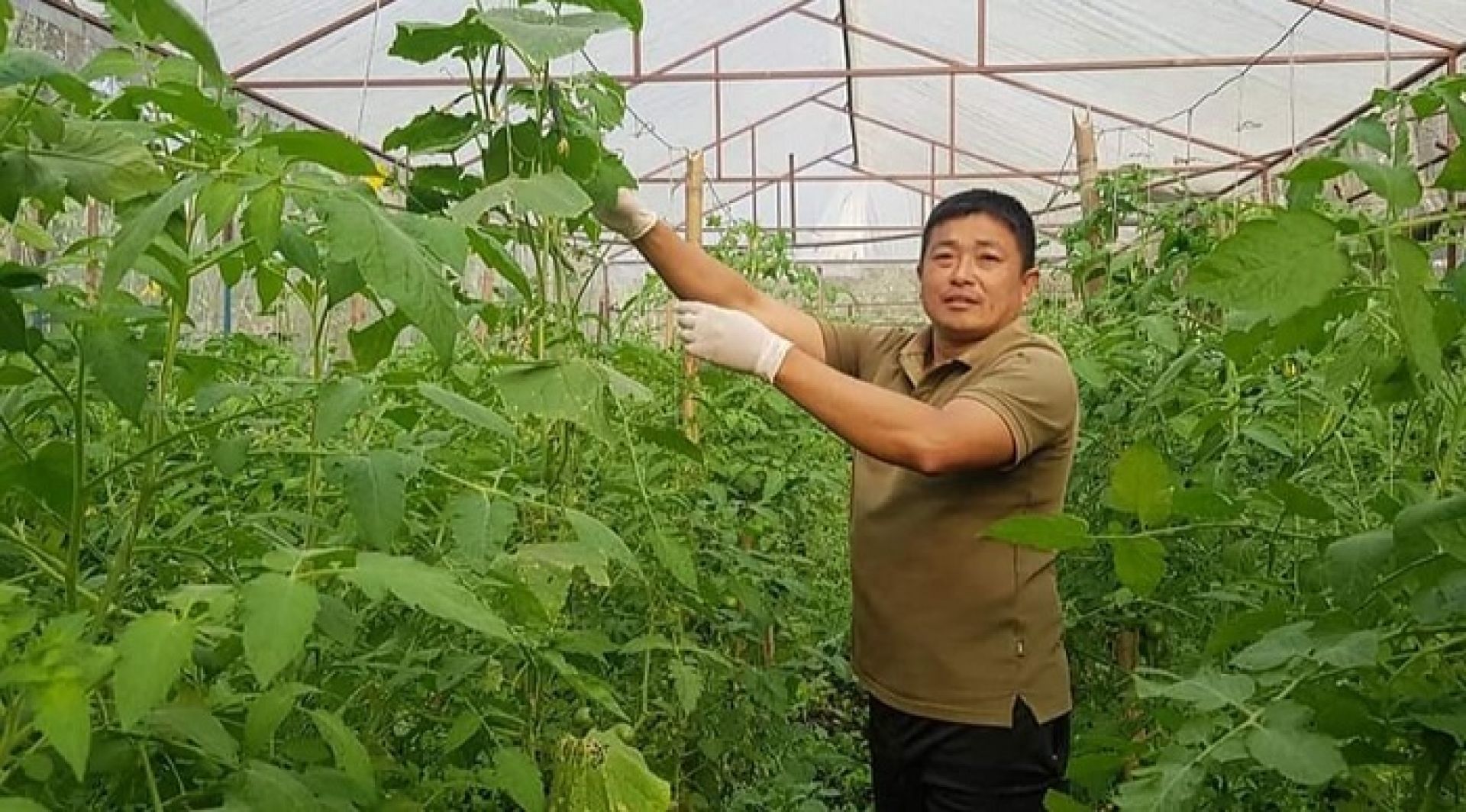 पचपन्न रुपैयाँबाट व्यवसाय शुरु गरेका कृष्ण बने कृषिबाटै करोडपति !